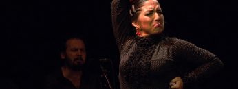 [ID: tZlLJhCBQlI] Youtube Automatic