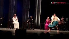 [ID: Tzq9rEgXM5c] Youtube Automatic