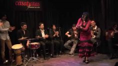 [ID: u4CEqGqxUJg] Youtube Automatic