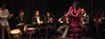 [ID: u4CEqGqxUJg] Youtube Automatic