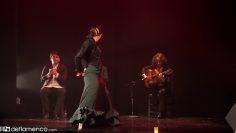 [ID: u7qbTtyAIVE] Youtube Automatic