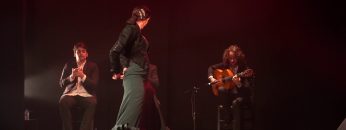 [ID: u7qbTtyAIVE] Youtube Automatic