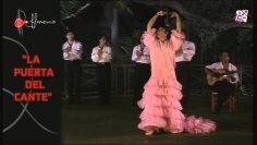 [ID: U7ZVUThl-2Y] Youtube Automatic