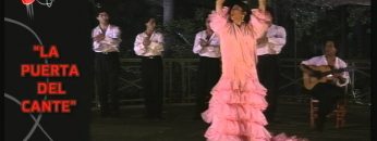 [ID: U7ZVUThl-2Y] Youtube Automatic