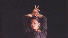 [ID: udCPUNdjN68] Youtube Automatic