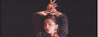 [ID: udCPUNdjN68] Youtube Automatic