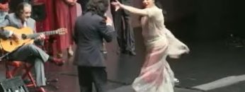 [ID: UdG–OP-Bgg] Youtube Automatic