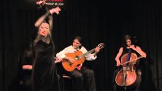 [ID: uDTy2zNfFM8] Youtube Automatic