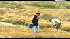 [ID: uDxKUtL3Bpk] Youtube Automatic