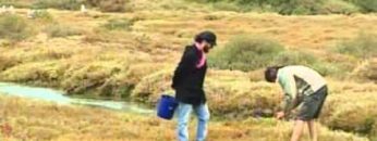 [ID: uDxKUtL3Bpk] Youtube Automatic