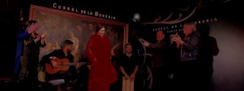 [ID: UHgiCYZaQQU] Youtube Automatic