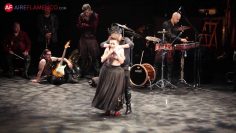 [ID: uirvYesK0bE] Youtube Automatic