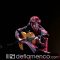 Yago Santos  guitarra flamenca en concierto