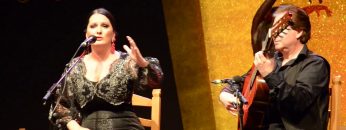 [ID: UlhCoId2r-E] Youtube Automatic