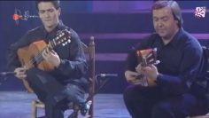 [ID: u_LYirMkIlQ] Youtube Automatic