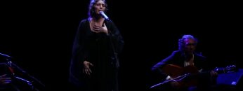 [ID: ULYo1Vtz39I] Youtube Automatic