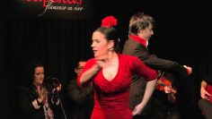 [ID: uNVK-IeuKsA] Youtube Automatic