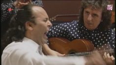 [ID: UOhMIsenATo] Youtube Automatic