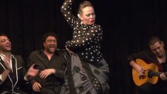 [ID: UoyLNouVt5M] Youtube Automatic