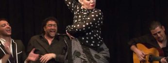 [ID: UoyLNouVt5M] Youtube Automatic