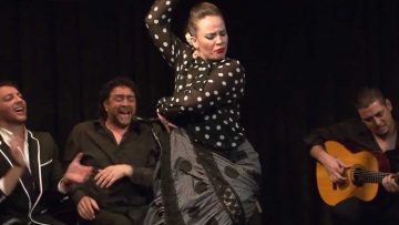 [ID: UoyLNouVt5M] Youtube Automatic