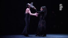 [ID: UP5SkyvNBAs] Youtube Automatic