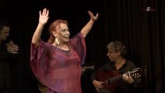 [ID: URC7smo16Y8] Youtube Automatic