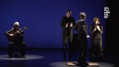 [ID: UScsJfhTCEo] Youtube Automatic