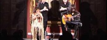 [ID: uT562XxlDOE] Youtube Automatic