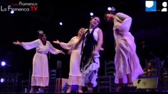 [ID: _UVC8vYHzcM] Youtube Automatic