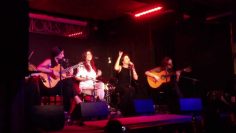 [ID: uvTTZdzqRoM] Youtube Automatic