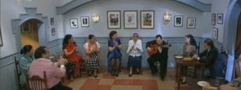 [ID: _UXbIdTzDIU] Youtube Automatic