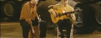 [ID: V1M4T9qpcl0] Youtube Automatic