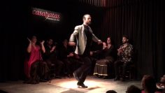 [ID: V48Q04hibFE] Youtube Automatic