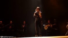 [ID: VcgY30CnJ6s] Youtube Automatic