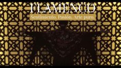 [ID: VG0-afNEfLo] Youtube Automatic