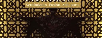 [ID: VG0-afNEfLo] Youtube Automatic