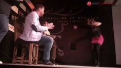 [ID: vj0Kv_SiU5Q] Youtube Automatic