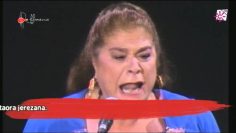 [ID: VjVoxIGxzwg] Youtube Automatic