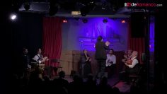 [ID: vl4QQ_EB2VE] Youtube Automatic