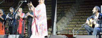 [ID: VnCZmWb2PGQ] Youtube Automatic