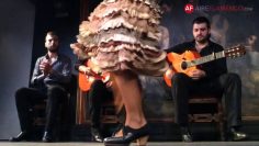 [ID: _vnwdE2bRGc] Youtube Automatic