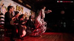 [ID: VPfed2pY0g4] Youtube Automatic