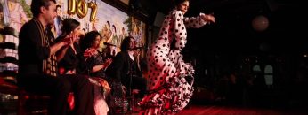 [ID: VPfed2pY0g4] Youtube Automatic