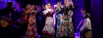 [ID: Vqga0W0XsHo] Youtube Automatic