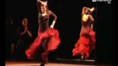 [ID: VrdzFhafSZI] Youtube Automatic