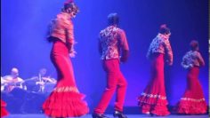 [ID: vVfmrSyvPGY] Youtube Automatic