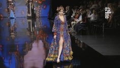 [ID: VZ7ZjnsrPCk] Youtube Automatic