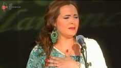 [ID: w0hZLHSGZMk] Youtube Automatic