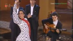 [ID: W8GS9lvcKyA] Youtube Automatic